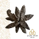 جار غاروهيلز