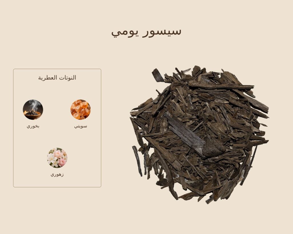 بخور سيسور يومي — ذروة الطيب